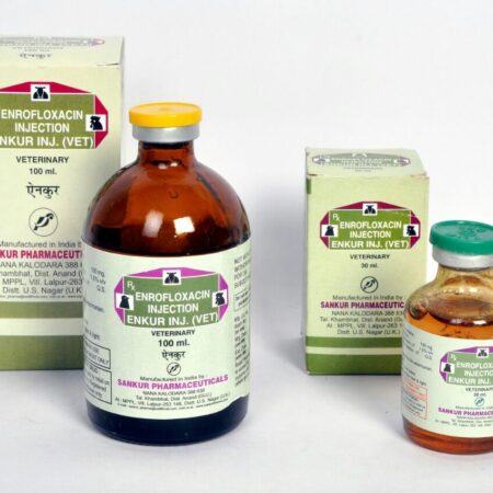 Veterinary Injection