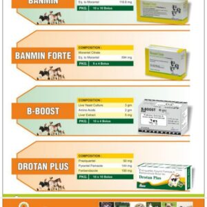 Enrofloxacin Injection