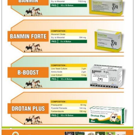Enrofloxacin Injection