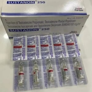 Testosterone Propionate Testosterone Phenylpropionate Testosterone Isocaproate Testosterone Decanoate