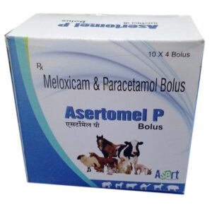 Meloxicam  Paracetamol Bolus