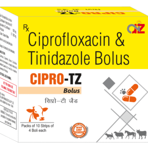 Ciprofloxacin and Tinidazole Bolus