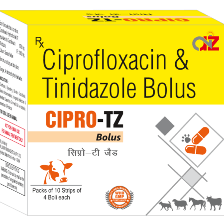 Ciprofloxacin and Tinidazole Bolus