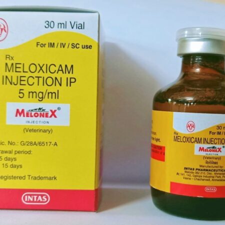 Meloxicam Injection